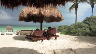 Our honeymoon to Excellence Playa Mujeres [upl. by Ybot]