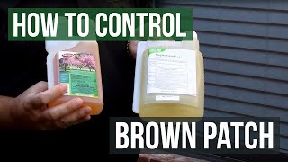 How to Control Brown Patch Fungus with Honor Guard PPZ Fungicide Propiconazole [upl. by Nylarac705]