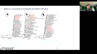 Using phylogenomics to resolve the evolutionary radiation of Boletaceae by Bryn Dentinger [upl. by Barb]