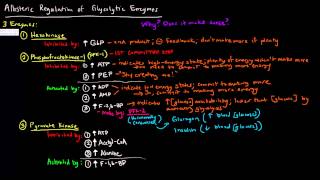 Glycolysis Part 3 of 3  Allosteric Regulation [upl. by Karine]