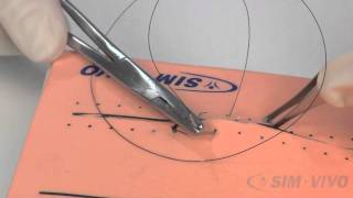 SIM SUTURE  5 Running Simple Sutures [upl. by Wilfred917]