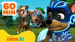 PAW Patrol Mighty Pups Use Their Super Powers w Liberty amp Marshall  1 Hour Compilation  Nick Jr [upl. by Ros370]