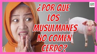 🧕🏼 ¿PORQUE LOS MUSULMANES Y JUDIOS NO COMEN CARNE DE CERDO🧕🏼 [upl. by Andi]