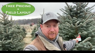 Evergreen Earnings Crafting a Successful Christmas Tree Farm Pricing and Layout Plan [upl. by Yrgoerg33]