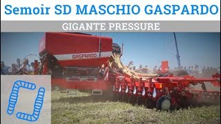 Semoir direct GASPARDO Gigante Pressure  SIMA 2019 [upl. by Enoj]