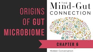 Chapter 6 Origins of Gut Microbiome  The MindGut Connection [upl. by Htezil548]