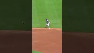 Nico Hoerner Makes An Amazing Play🔥mlb shorts [upl. by Sivrep574]