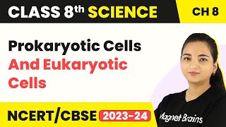 Biology Cell Structure I Nucleus Medical Media [upl. by Atiuqat]