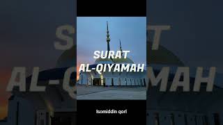 Surat alqiyamah [upl. by Rori46]