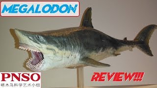 PNSO Megalodon Review [upl. by Chilton726]