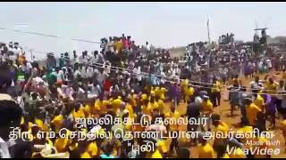 Jallikattu thalaivar senthil thondaman kaalai [upl. by Nnylecyoj]