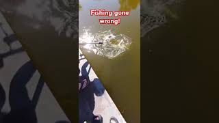 Carp Fishing fishing amazing entertainment bigfish bigcarp carp catchandrelease fyp 2024 [upl. by Eissehc]