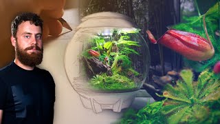 Creating a Stunning CARNIVOROUS PLANT Terrarium  Oase biOrb AIR 30 [upl. by Hisbe]