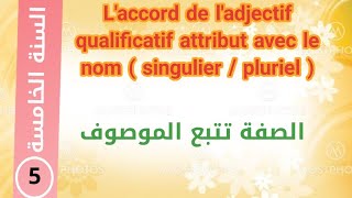 Laccord de ladjectif qualificatif attribut avec le nom   سنة خامسة ابتدائي [upl. by Ennairol]