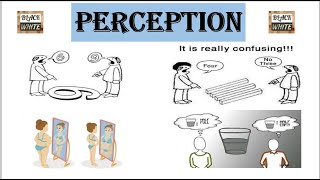 Perception  Meaning in different means  Process of Perception  Smart Education [upl. by Allehc]