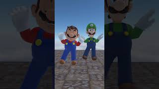 Mario and Luigi Boom Boom   ToMaxT Animation [upl. by Kcirred]