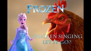 Chicken Singing quotLet It Goquot from movie Frozen [upl. by Alia]