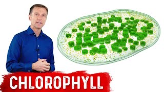 9 Proven Benefits of Chlorophyll [upl. by Sherrill]