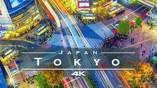 Tokyo Japan 🇯🇵  by drone 4K [upl. by Fanny]