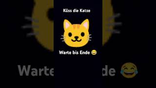 Küss die Katze warte bis Ende 😂 [upl. by Erny326]