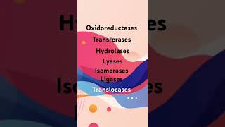 Enzyme classification  shorts class11 class12 neet biology enzymes [upl. by Eng698]