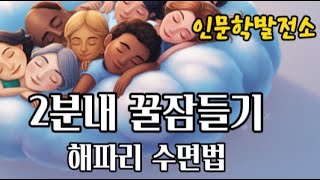 quot 해파리 수면법으로 단 2분 만에 꿀잠 자기 quot직접 체험한 최고의 불면증 해소법 quot [upl. by Ocer]