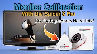 Calibrating Monitors and the Datacolor Spyder X Pro Photographer Need This [upl. by Joice700]