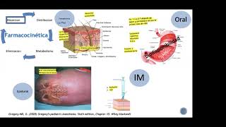 Farmacología Básica en el paciente pediátrico Anestésicos inhalados y endovenosos [upl. by Ynnek928]