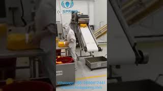 1500kgh Panko Bread Crumbs Production Line  Gspring Machinery [upl. by Mischa]