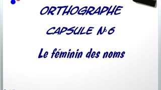 O6  Le féminin des noms 6 [upl. by Atinev]