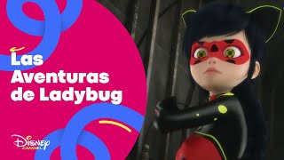 Las aventuras de Ladybug  Avance excIusivo Jaque Mate  Disney Channel Oficial [upl. by Eerpud]