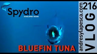 SPYDRO BLUEFIN TUNA CACHT [upl. by Nilok819]