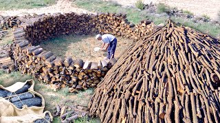 El CARBONERO Transformación de 10000 kg de leña en CARBÓN VEGETAL en la naturaleza  Documental [upl. by Leis]