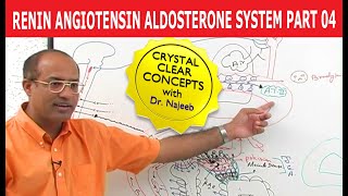 Renin Angiotensin Aldosterone System  RAAS Part 4👨‍⚕️ [upl. by Florette181]