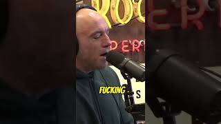 Joe Rogan and Terrence Howard podcast ￼ [upl. by Assiran343]