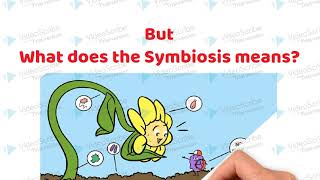 Symbiotic Association between the roots of Leguminous plants and Rhizobium bacteria [upl. by Zashin465]