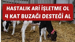 Genç ve Kadınlara Daha Çok Destek amp Daha Fazla Buzağı Desteği İçin Ari İşletme Olmak [upl. by Euqininod777]