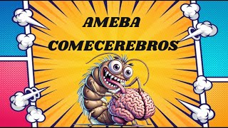 AMEBA COMECEREBROS NAEGLERIA FOWLERI [upl. by Duester]