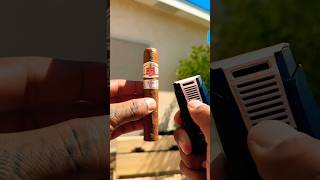 ASMR ☀️😋 Enjoying the Iconic Hoyo De Monterrey Epicure No 2 cigar asmr shorts habanos art [upl. by Wilda543]