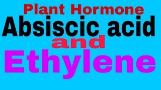 Plant HormoneAbscisic Acid And Ethylene TGTPGTNEETMScBScClass 12thClass 10thCBSE Board [upl. by Odraccir]