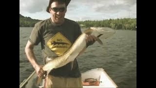 Maskinongés monstres capturés live  Monster muskie captured live [upl. by Shawn]