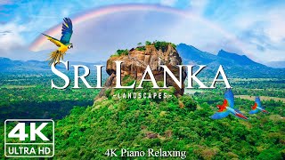 Discovering 4K Sri Lanka  The Golden Beaches Lush Tea Plantations and the Rich Cultural Heritage [upl. by Winifred]