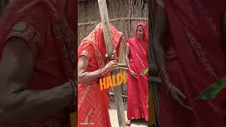 haldi song [upl. by Fiona]