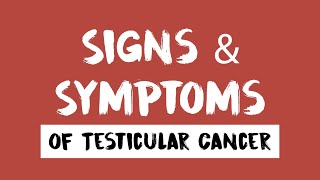 Testicular Cancer Signs amp Symptoms [upl. by Terencio]