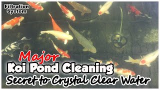 How to Clean Koi Pond  Major Cleaning [upl. by Eerehs]