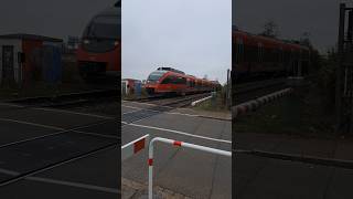 BR 644 der Deutsche Bahn am Bahnübergang in Grenzach deutschebahn trainspotting shorts yt [upl. by Noitsuj]