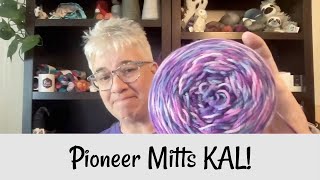 Pioneer Mitts KAL [upl. by Fanchie]