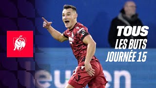 TOUS LES BUTS JOURNEE 15 👀⚽ Moments forts de la Jupiler Pro League 2324 [upl. by Egiap]