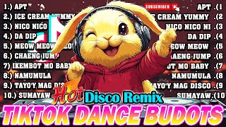 New VIRAL TIKTOK DISCO PARTY 2024  NEW TIKTOK BUDOTS DANCE REMIX 2024 [upl. by Airyk471]