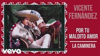 Vicente Fernández  La Caminera Cover Audio [upl. by Kentiga]